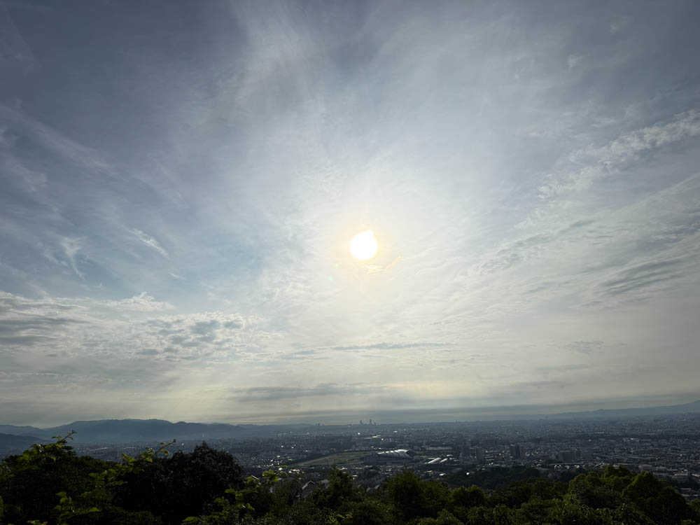 久しぶりの朝